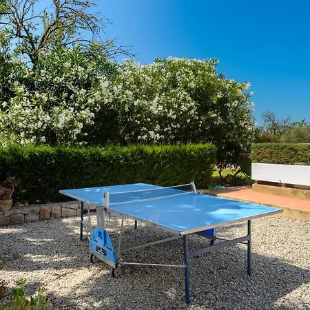 Sa Vinyeta Sant Joan De Labritja